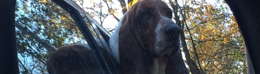 Tennessee Hound Dogs