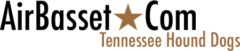 AirBasset
