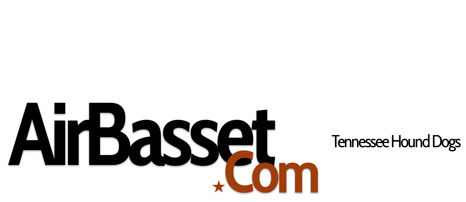 AirBasset